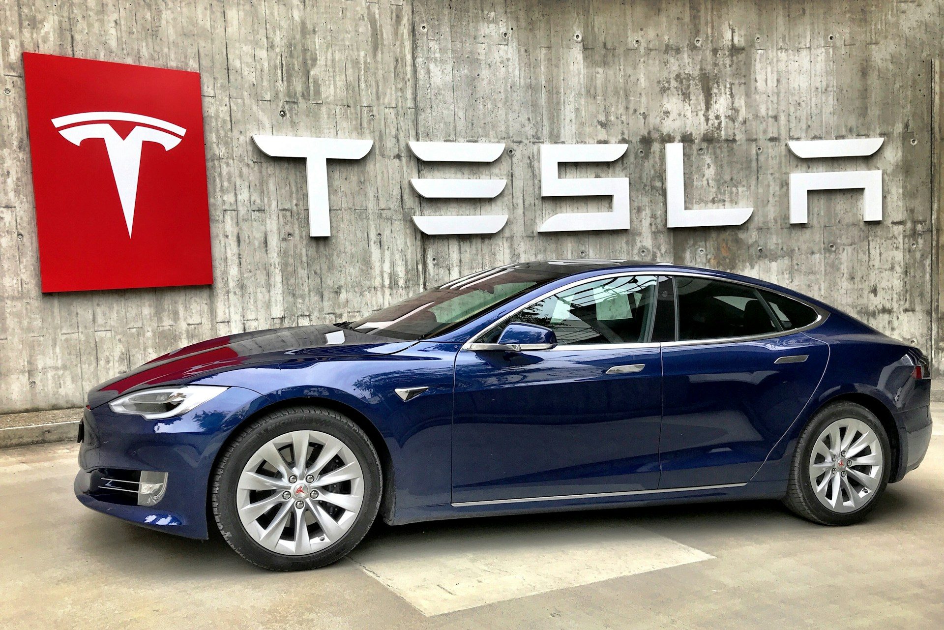 Tesla cat